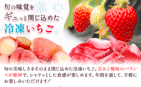 冷凍 あまおう 約2kg 《90日以内に出荷予定(土日祝除く)》福岡県 鞍手郡 鞍手町 いちご あまおう フルーツ 果物 冷凍