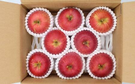《2026年発送先行予約》山形県産りんご シナノスイート 約2kg 5～8玉 林檎 リンゴ 果物 くだもの フルーツ 山形県産 F4A-1014