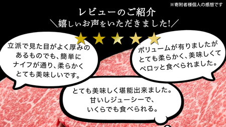 【 スピード 発送 】【 常陸牛 】 希少部位ステーキ（ヒレステーキ）400g(200g×2枚)