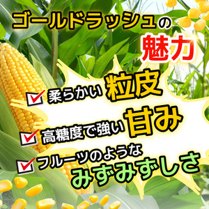 【6月下旬から7月下旬まで発送】とうもろこし ゴールドラッシュ 12kg以上 