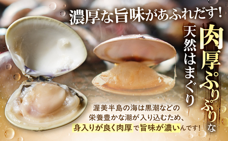 天然手掘りハマグリ 砂抜き不要 天然ハマグリ 手掘り はまぐり ハマグリ 蛤 天然 ダシ 出汁 お吸い物 酒蒸し 焼ハマグリ 魚介 海産物 国産 アサリ 愛知県 田原市 新鮮 砂抜き 海鮮 魚介類 魚介 貝 人気