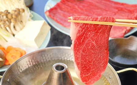 飛騨牛もも肉 しゃぶしゃぶ用 600g 飛騨牛 A5等級 和牛 黒毛和牛 F4N-2661