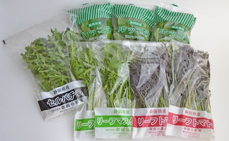 国産 ハーブ 定期便12回 詰め合わせ 約450g 4種 8袋セット × 12ヶ月