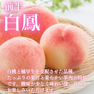 【6月下旬から7月下旬まで発送】桃 4kg 白鳳 あかつき 贈答用 国産