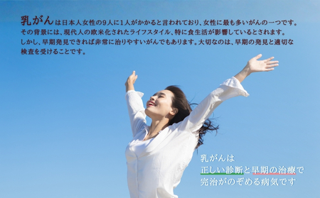 グランソール奈良 無痛MRI乳がん検査 1名様分／ 検診 婦人科検診 検査 乳がん 無痛 MRI 母の日 敬老の日 ギフト プレゼント 奈良県 宇陀市 ふるさと納税