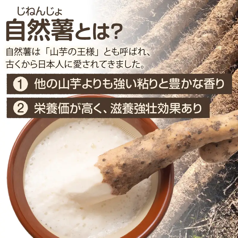 常滑ハッピー自然薯　約2kg