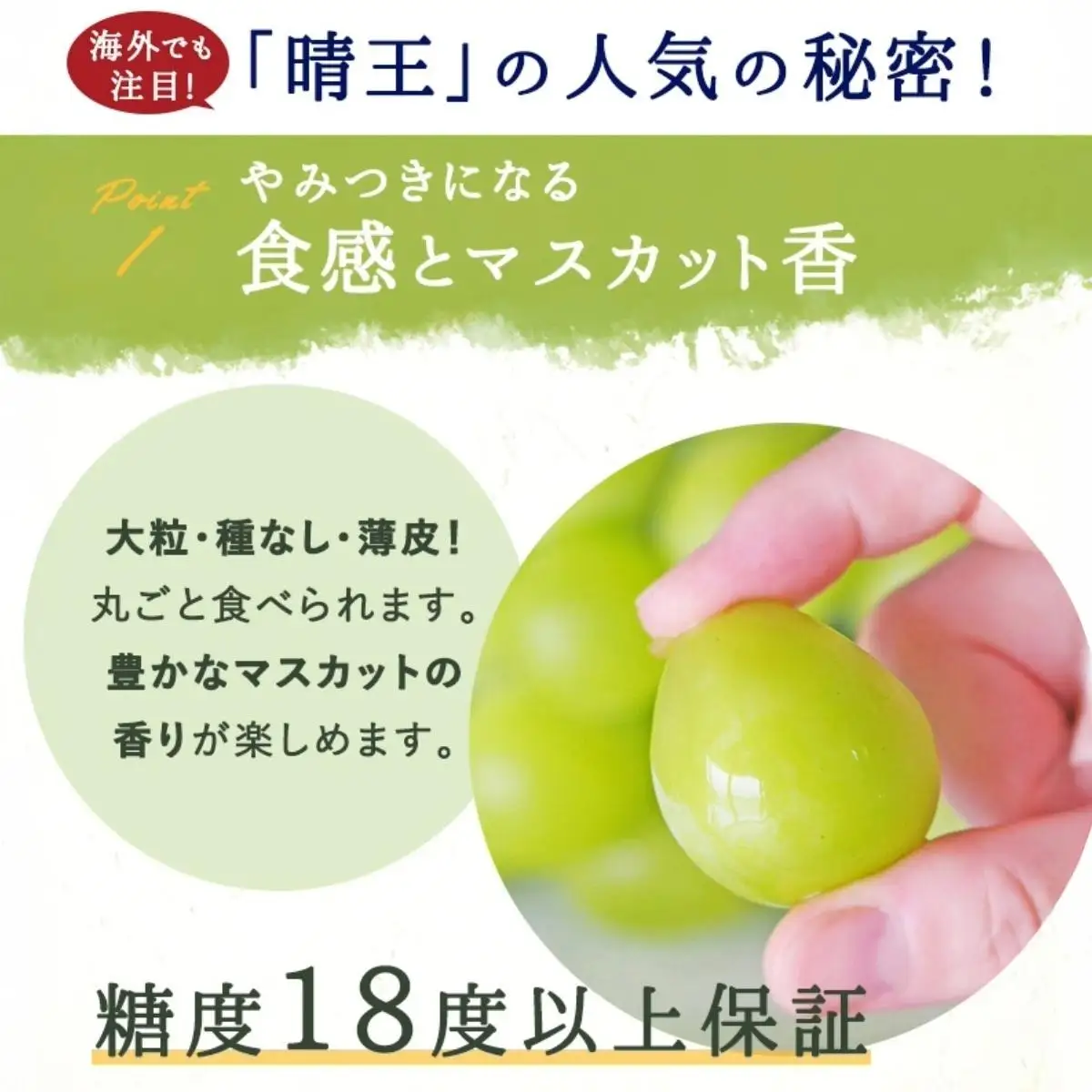 ＜定期便全3回＞ シャインマスカット晴王1房800ｇ化粧箱入  3回コース【2026年発送】[040-a012]