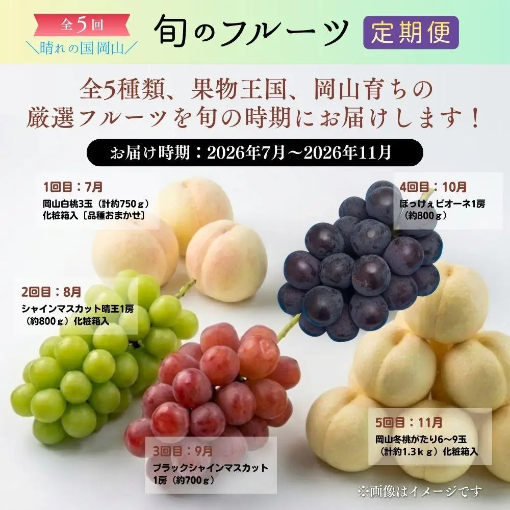 ＜定期便5回＞ 冬桃がたりの5回コース [040-a015]