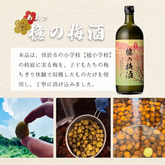 檍の梅酒 (720ml瓶) 梅酒 お酒 アルコール 【岩川醸造】A973