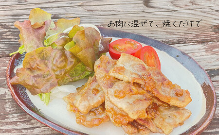 あのらぼ 旬野菜たっぷり 季節の麹中 5種 セット 詰め合わせ 発酵調味料 麹中 乗せるだけ 混ぜるだけ 放り込むだけ 簡単調理 調味料 調味料セット 調味料詰め合わせ 野菜 旬野菜 季節の野菜 米麹 麹 惣菜 淡路島 洲本市