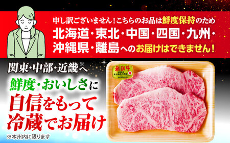 【3回定期便】 ※冷蔵配送/地域限定※ 飛騨牛 サーロインステーキ 240g×2枚 瑞浪市 / きなぁた瑞浪 和牛 国産 岐阜県産[AZCI092]