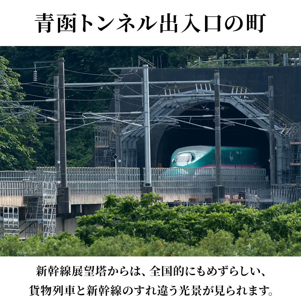 北海道 知内町☆応援寄付金☆【返礼品なし】100,000