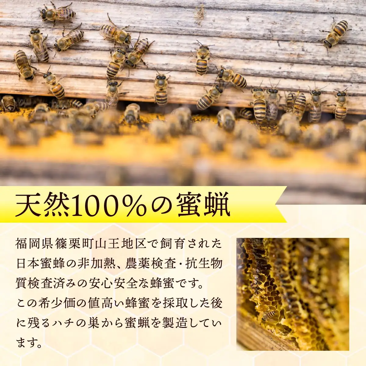 ささぐり産日本蜜蜂みつろう 
