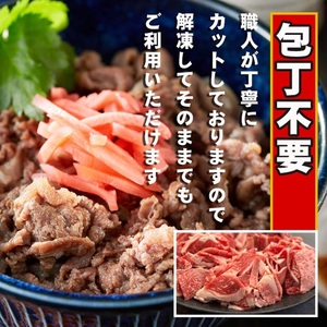 普段使いの志方牛小間切れ200g×5《 牛肉 牛 志方牛 肉 こま切れ 1kg 》【2501A00103】