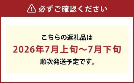 白桃 早生種 5～6玉（約1.3kg）岡山 桃 白鳳 加納岩白桃 早生種 果肉 柔らかい 果汁 【2026年7月上旬～7月下旬迄順次発送予定】