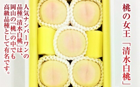 清水白桃 5玉（合計約1.3kg）果物 デザート スイーツ フルーツ 果肉 美味しい 甘い 柔らかい 上品 高級品種 贈り物 ギフト【2026年7月下旬～8月上旬迄順次発送予定】