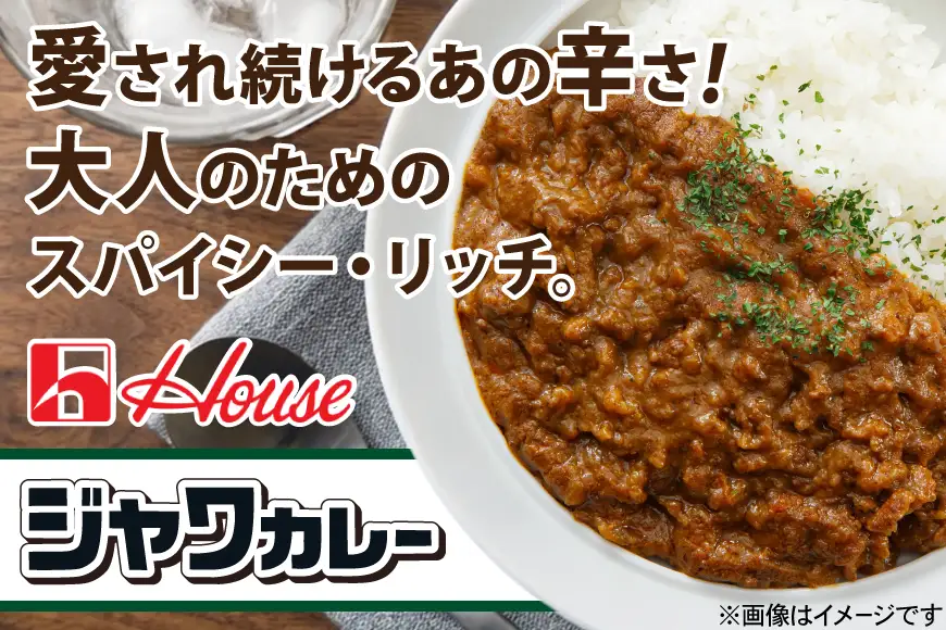 ハウス ジャワカレー キーマカレー 10個 [翔栄通商 愛知県 江南市 ko23btu570019]