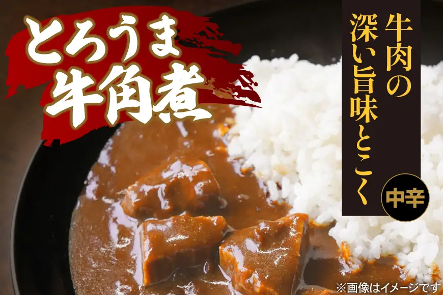 ハウス とろうま牛角煮カレー 中辛 20個 [翔栄通商 愛知県 江南市 ko23btu570040]