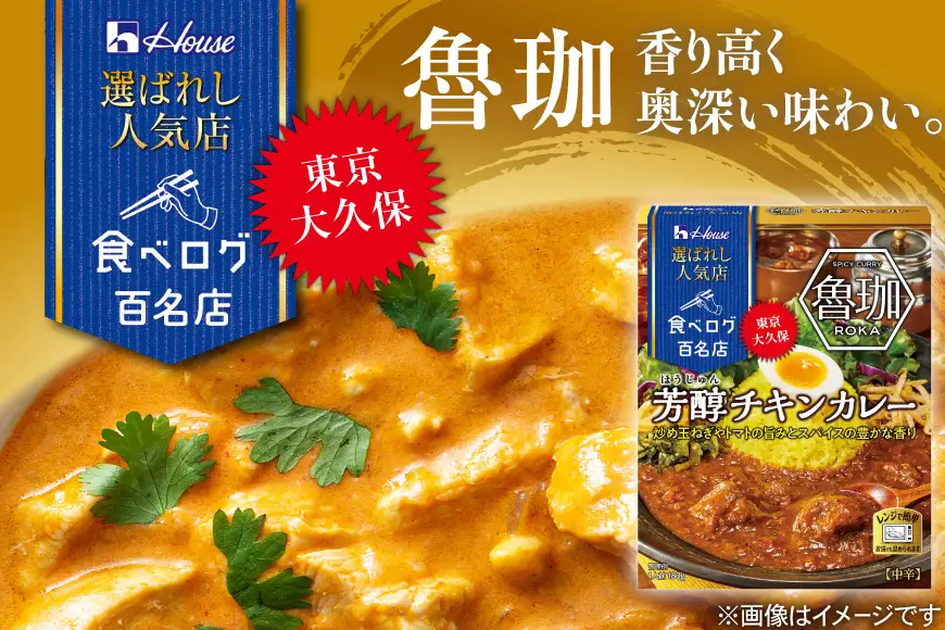 選ばれし人気店 芳醇チキンカレー＆濃厚バターチキンカレー 各10個 計20個 [翔栄通商 愛知県 江南市 ko23btu570046]