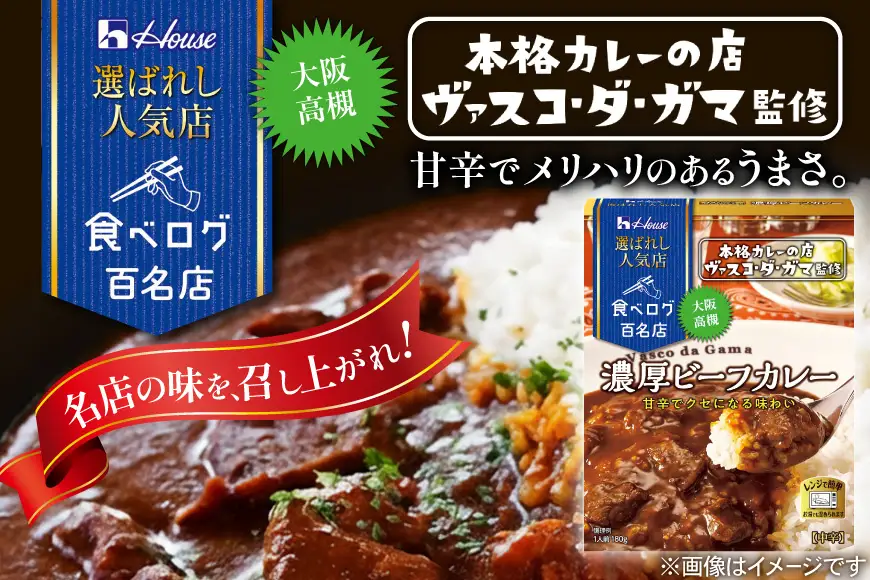 選ばれし人気店 濃厚ビーフカレー＆スパイス織りなすビーフカレー 各10個  計20個 [翔栄通商 愛知県 江南市 ko23btu570047]