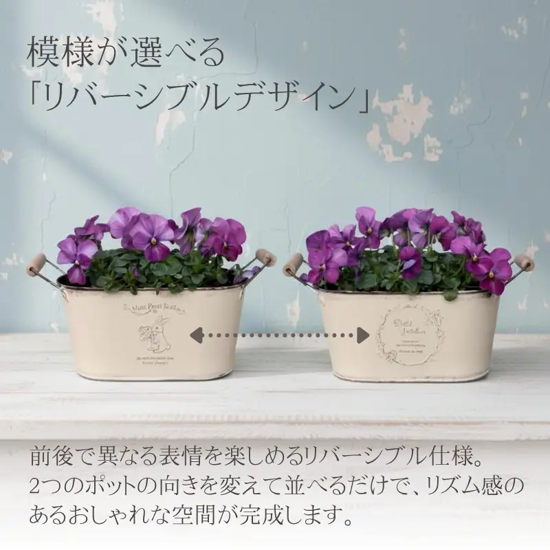 アイアンポット リバーシブル オーバル M L 2個セット