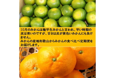 【8006-1】厳選みかん定期便5kg　3回（10月、11月、12月）《先行予約》固定月にお届け予定