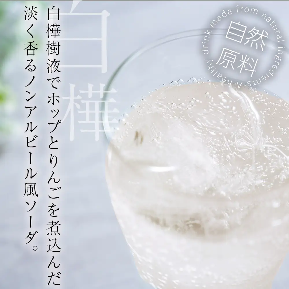 白樺樹液ソーダyadorigi（ホップとりんご）8個