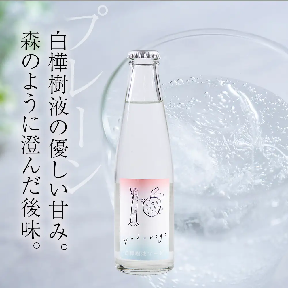 白樺樹液ソーダyadorigi (プレーン/ホップとりんご)計8個