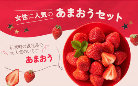 AB381.【予約受付】「あまおうバター」と「あまおう」のセット／2027年2月～4月発送予定