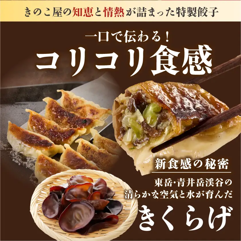 食感が癖になる!きくらげ餃子40個〔LG-87-001-40〕