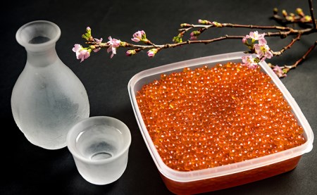 極上！海のルビー いくら昆布醤油漬け 500g ふるさと納税 いくら