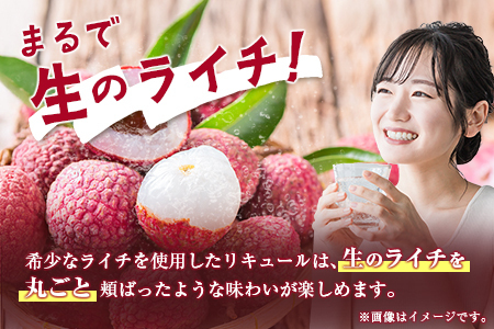 酒 リキュール 産地めぐり ライチ お酒 720ml 1本 A347