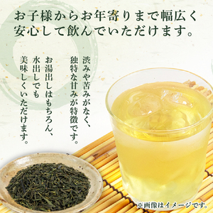 緑茶 茶葉 やぶきた茶 在来茶 6袋 MND016