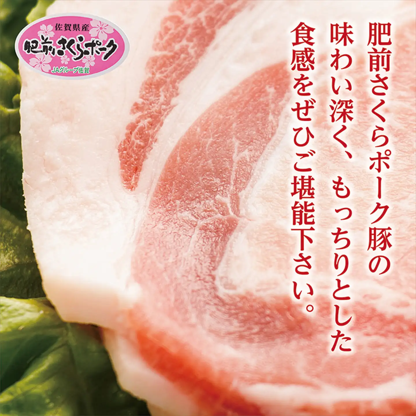 肥前さくらポーク ロース しゃぶしゃぶ・焼しゃぶ用 1.2kg _b-135