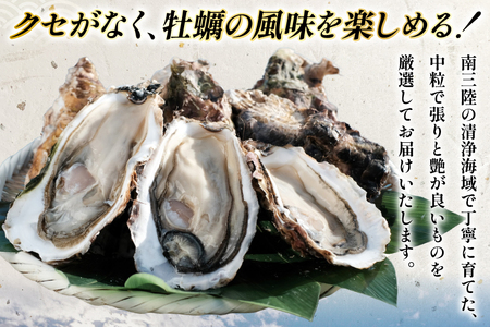 【期間限定発送】 宮城県産 むき身 極粒旨かき 生食用 300g ×1p[丸壽阿部商店 宮城県 南三陸町 m304bir010000]