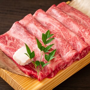 AG149.厳選部位！【A4～A5】博多和牛サーロインしゃぶしゃぶすき焼き用約600g（300g×2p）【博多和牛】