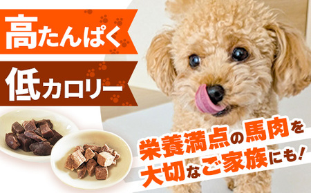 【定期便6回】 馬肉100％ 犬猫用おやつ 25g×6袋 - フリーズドライ ペット 健康 おやつ