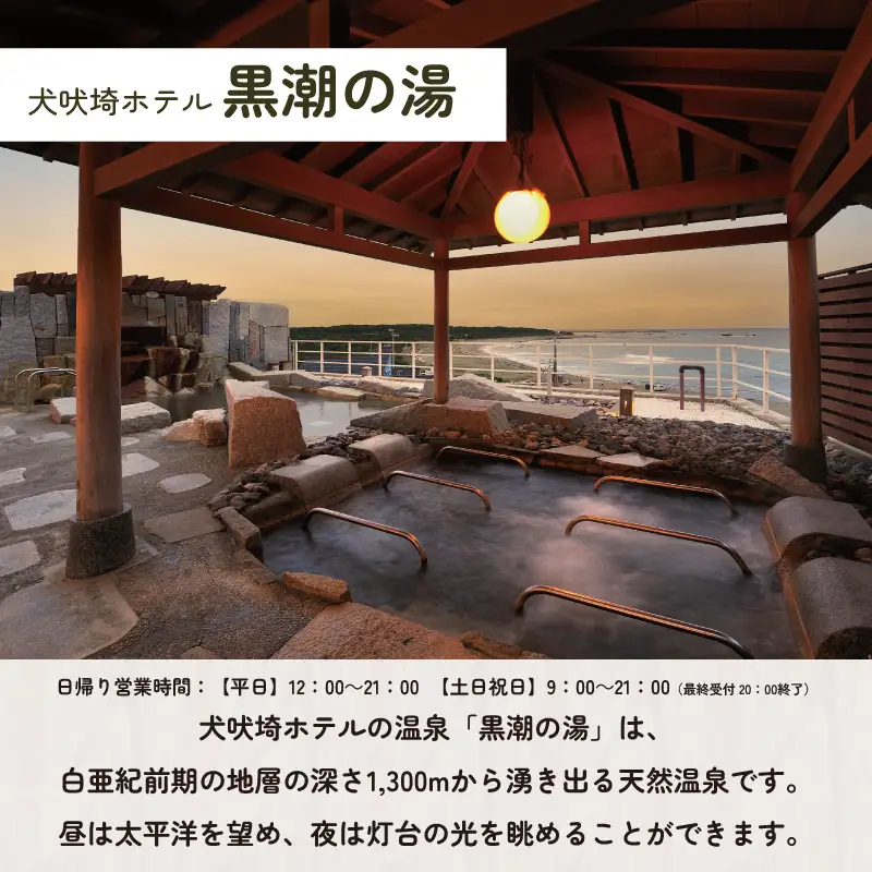 温泉 犬吠埼温泉 温泉利用券 平日限定 10回分