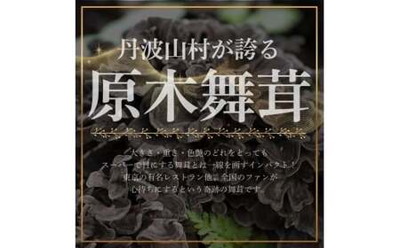 【2026年発送分先行予約】訳あり 丹波山村産 原木舞茸 約1kg 2026年秋頃より順次発送予定 / 丹波山名産 希少 無農薬 無添加 舞茸 まいたけ わけあり 規格外 正規品より若干小振り 原木栽培 きのこ キノコ 産地直送【tab0240】