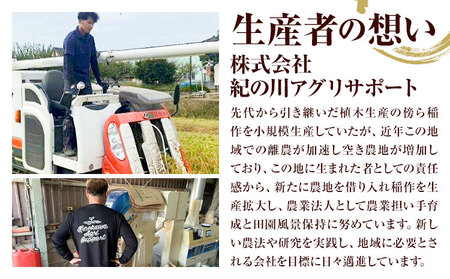 米 5kg お米 紀の川応援米 白米 5キロ 