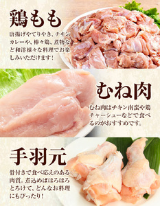 【6ヶ月定期便】 九州産 若鶏もも肉(310g×3袋) ムネ肉(600g×2袋) 手羽元 セット(500g×3袋) 計3.63kg 鶏肉 肉 鶏 手羽 手羽元 唐揚げ 詰め合わせ セット 冷凍 九州 国産 熊本県 菊池市 送料無料《お申込み翌月から出荷》