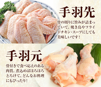 【3ヶ月定期便】 九州産若鶏もも肉 むね肉 ささみ 手羽先 手羽元 セット 計3.62kg 鶏肉 お肉 モモ肉 ムネ肉 5種類 詰め合わせ 小分け 冷凍 九州産 国産 熊本県 菊池市 送料無料《お申込み翌月から出荷》