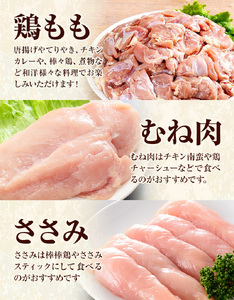 【6ヶ月定期便】 九州産若鶏もも肉 むね肉 ささみ 手羽先 手羽元 セット 計3.62kg 鶏肉 お肉 モモ肉 ムネ肉 5種類 詰め合わせ 小分け 冷凍 九州産 国産 熊本県 菊池市 送料無料《お申込み翌月から出荷》