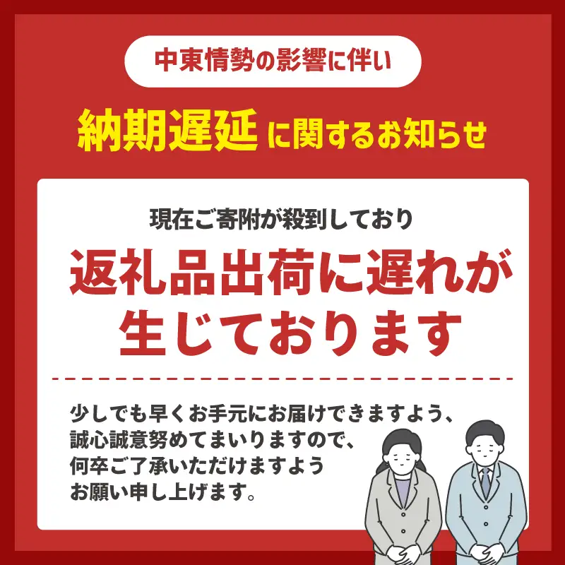 定期便 トイレットペーパー ダブル スコッティ 3倍長持ち 8ロール × 3パック《 4ヶ月ごと計 3回 》 フラワーパック