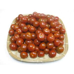 訳ありミニトマト　約3kg