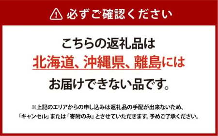 [HS]シャインマスカット 晴王 2房 約1.2kg【2026年9月上旬～10月下旬発送予定】マスカット 葡萄 ぶどう ブドウ フルーツ 果物 くだもの デザート 冷蔵 岡山県 倉敷市