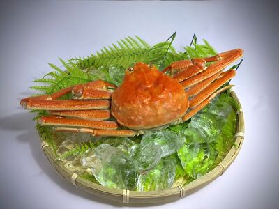 北海道産ボイルオオズワイガニ400g×5尾　合計2kg以上【かに　カニ　蟹　海産物　海鮮　冷凍　ボイル　オオズワイガニ　北海道】(AM0011)