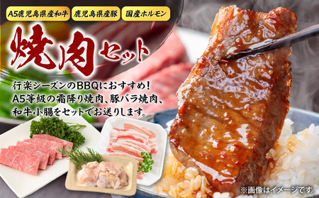 【 A5和牛 ・ 豚 ・ ホルモン 】焼肉セット900g K002-055 豚肉 豚バラ 牛肉 黒毛和牛