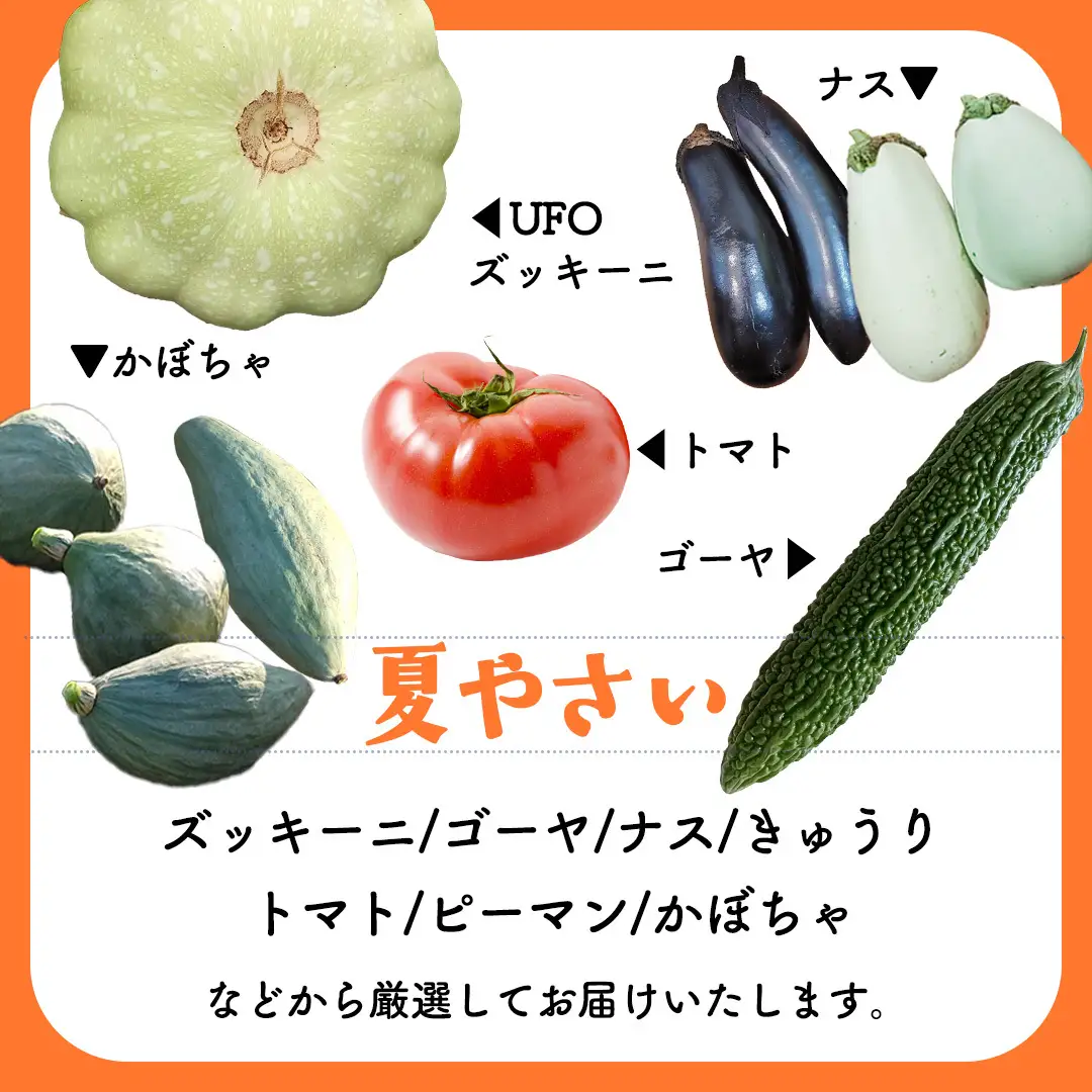 夏野菜 と ブルーベリー の おまかせBOX 計 約2kg ｜ 野菜 果実 果物 おまかせ 旬 新鮮 大容量 くだもの フルーツ おやつ ブルーベリー ベリー ジャム 小分け セット 詰め合わせ 詰合せ 夏バテ [DZ019sa]