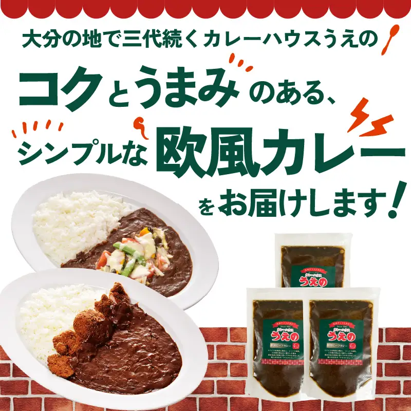 九州クラフト うえの焙煎ビーフカレー 冷蔵 3袋 K03040